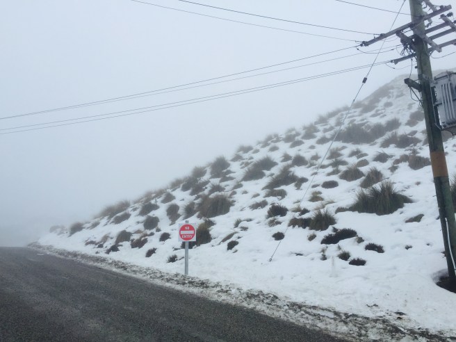 View up the mountain